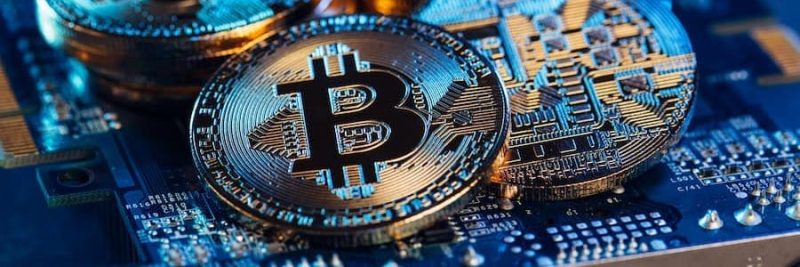 How To Leverage Auto Bet in Bitcoin & Crypto Dice