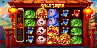 Wild Tiger Review [Bgaming]